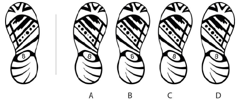 right pair for the shoe
