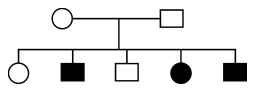 pedigree chart