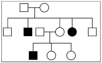 [Diagram of Pedigree Chart]