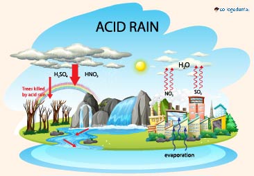 Which Gases Causes Acid Rain?