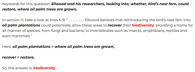 Palm Oil Reading Answers