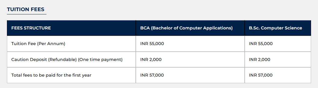 BCA fees 2024.png