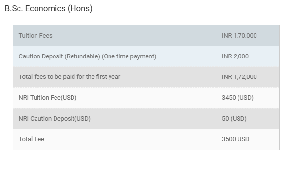 B.Sc Economics Hons fees 2024 IN.png