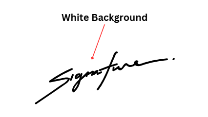 JEE Main 2025 Signature Guidelines
