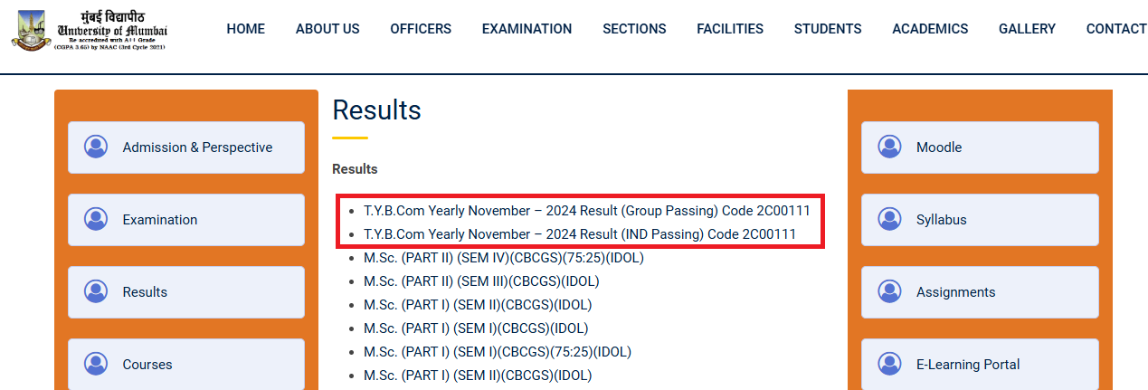 Mumbai University IDOL BCom Result 2024