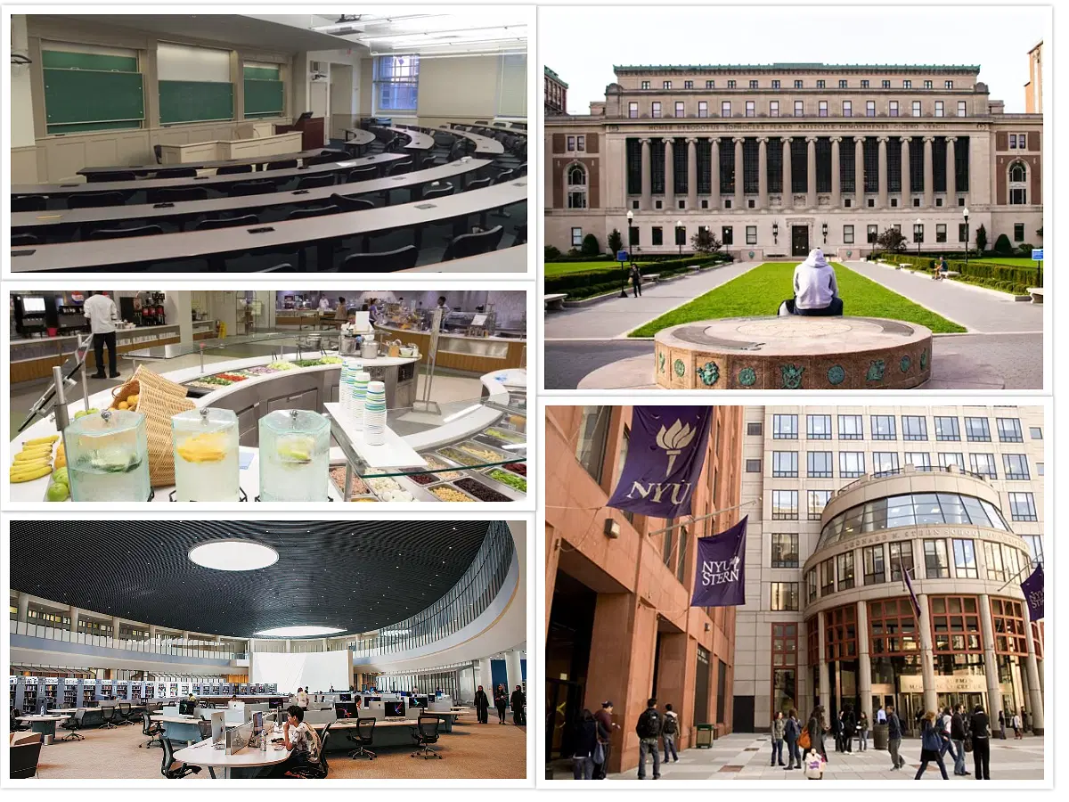 New York University Campus