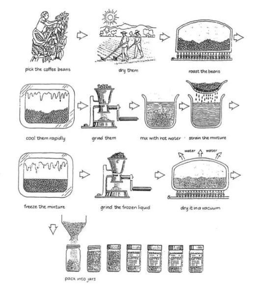 Procedure for Making a Cup of Coffee