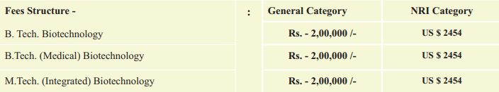 DY Patil Vidypeeth fee for B.Tech Courses