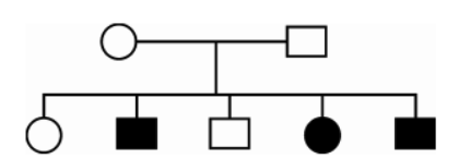 Pedigree diagram representing inheritance patterns