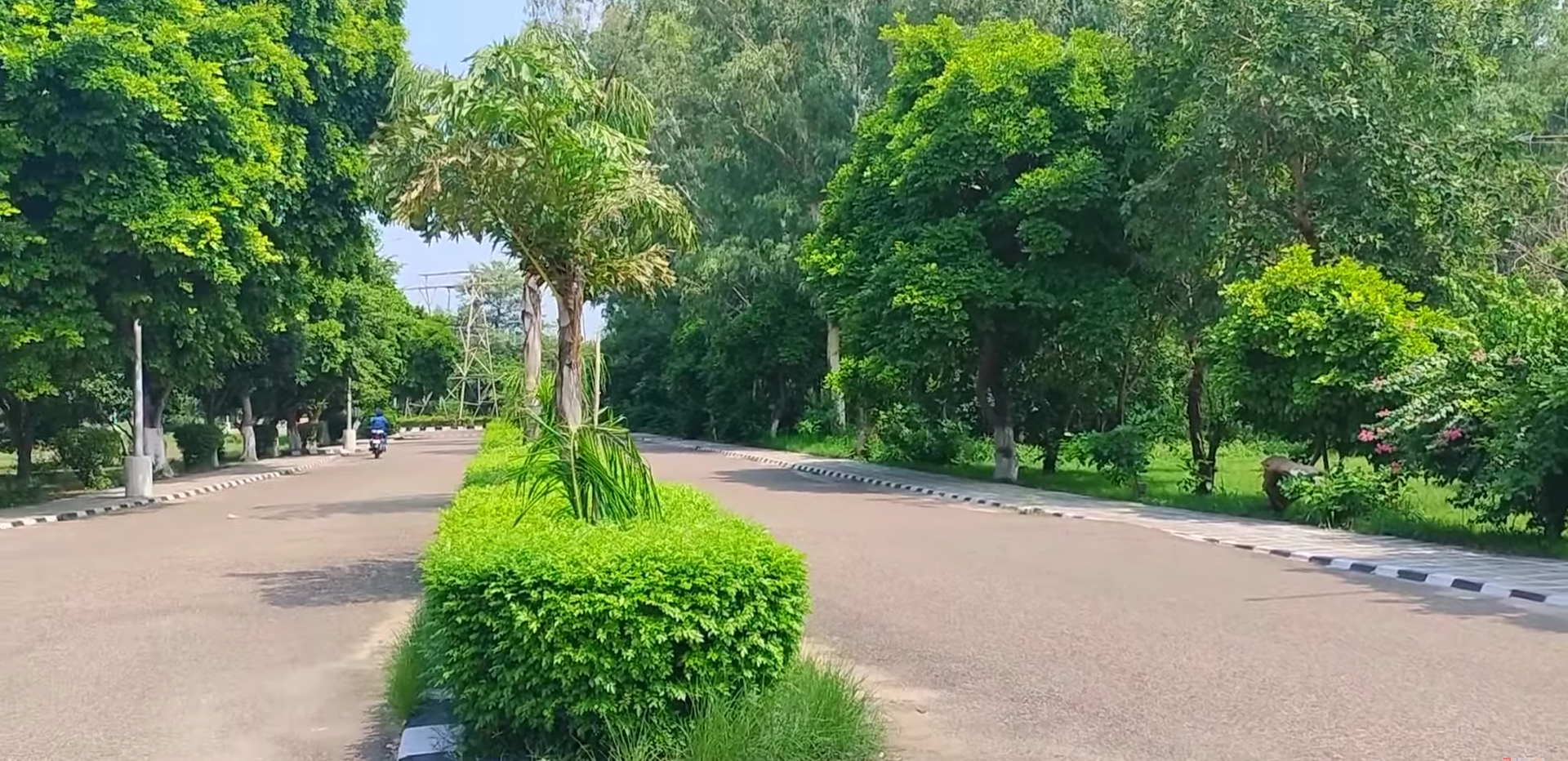 NIT Jalandhar Street View