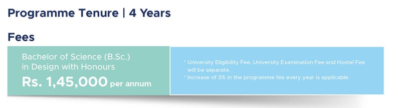 DY Patil Vidyapeeth fee for B.Sc Computer Science