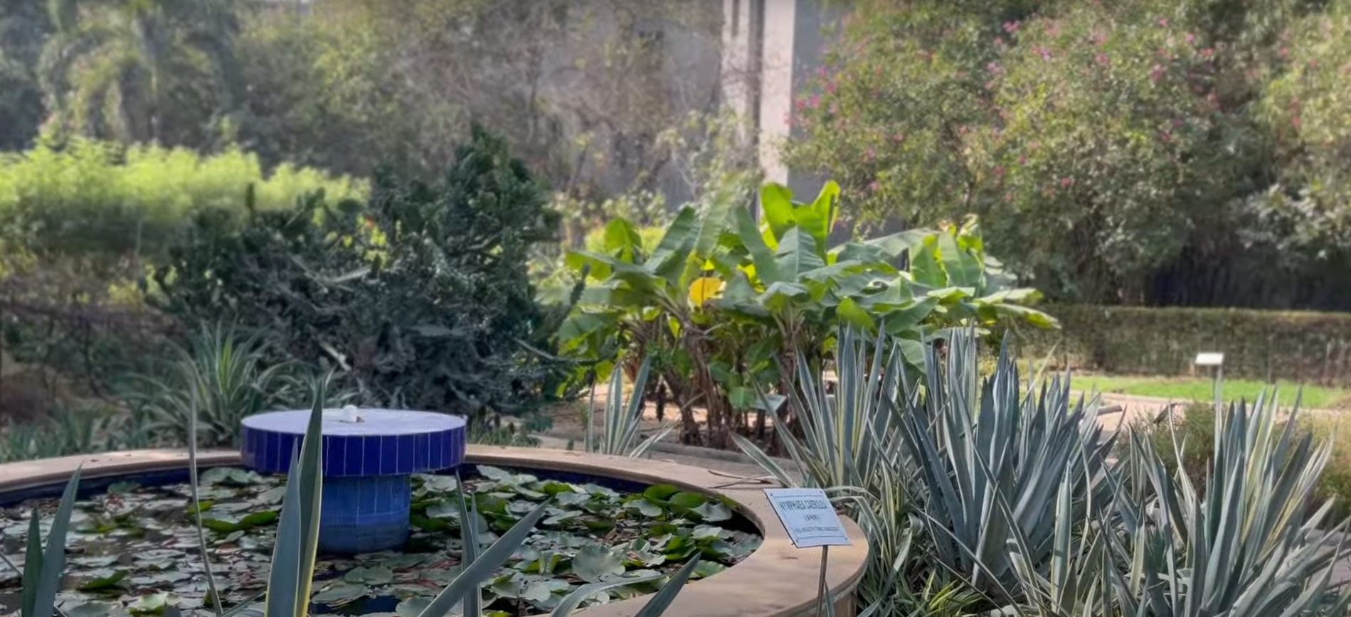 ITNU Ahmedabad Herbal Garden