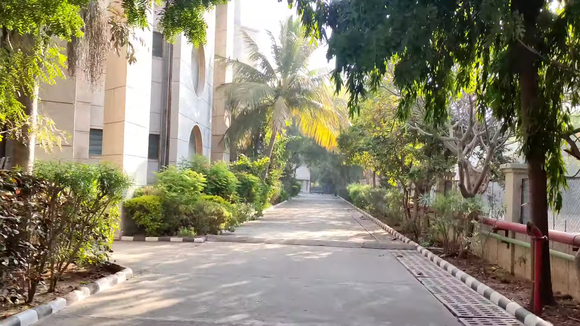 NIFT Gandhinagar Street View