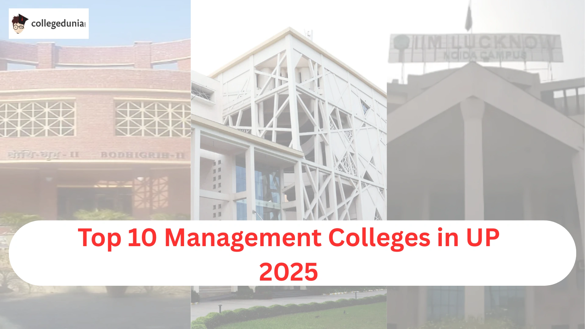 Top Management Colleges in UP 2025 Overview