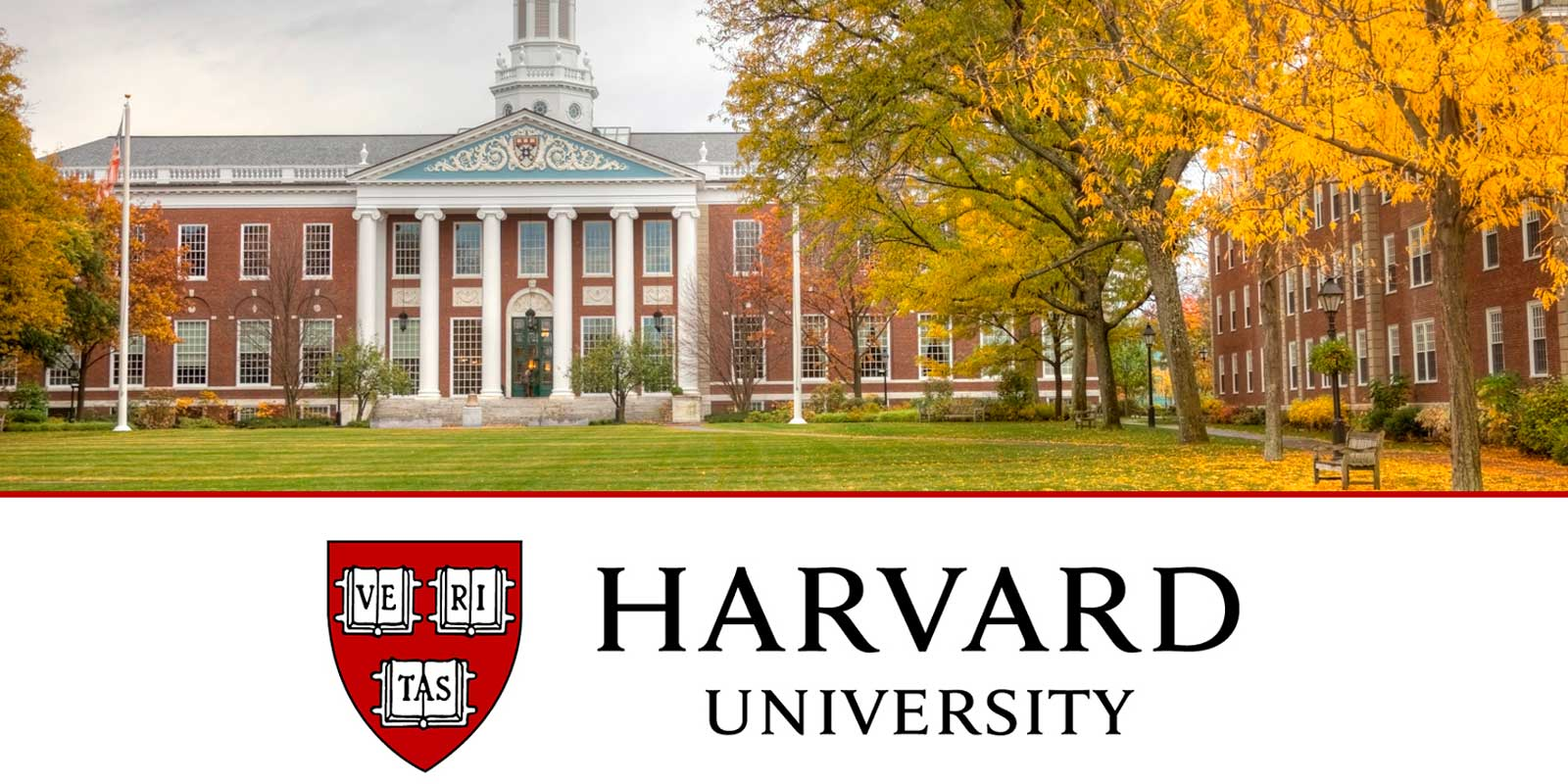 Universidad de Harvard