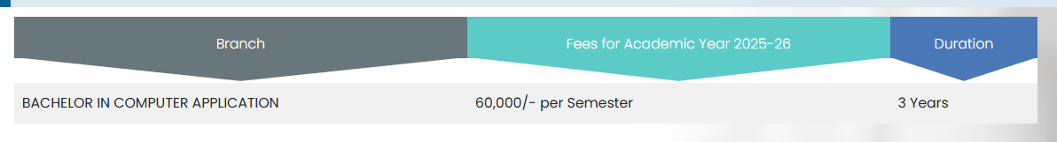 Fee Structure 2025 (As per website)-