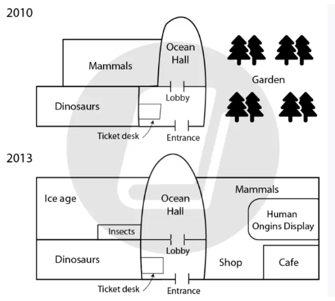 development of the museum