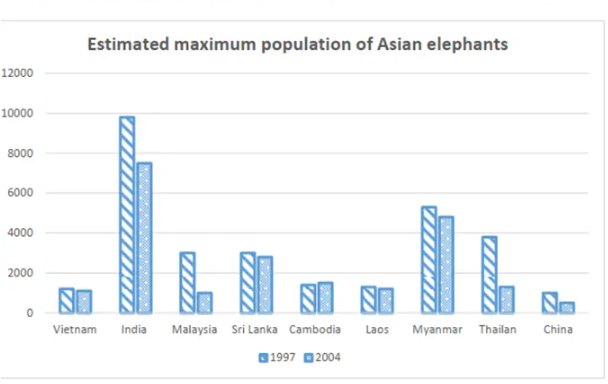 Asian_Elephants