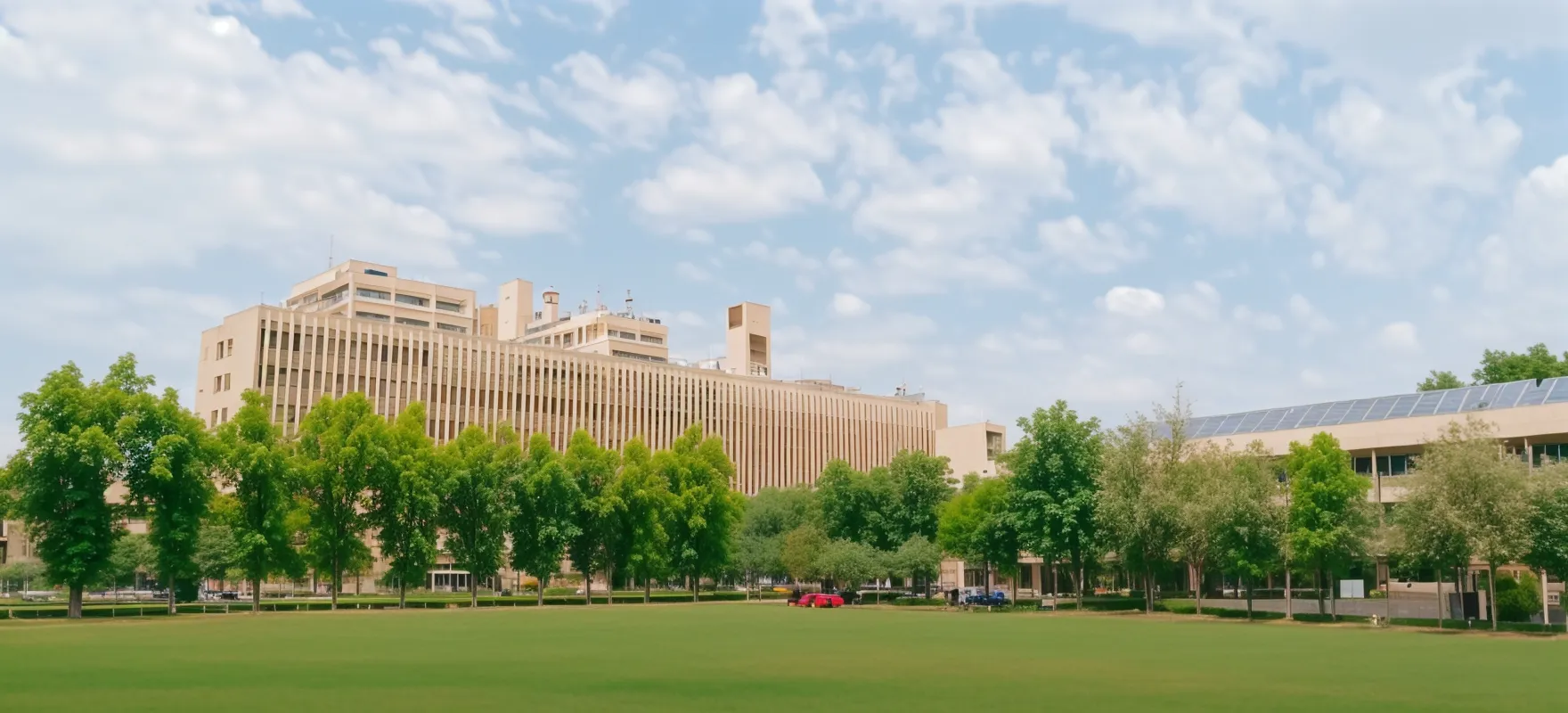 DMS IIT Delhi Playground