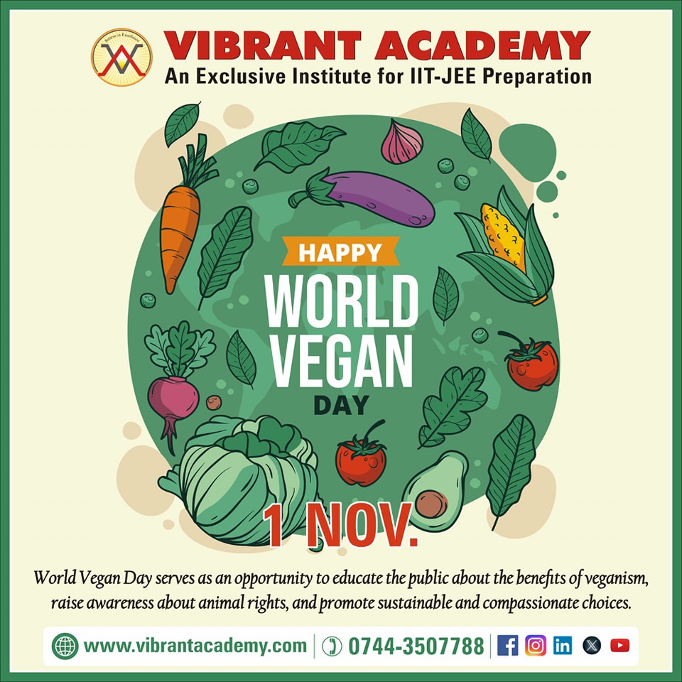 Vibrant Academy Vibrant photo 3