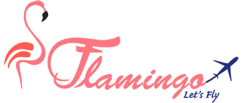 Flamingo Institute of Aviation