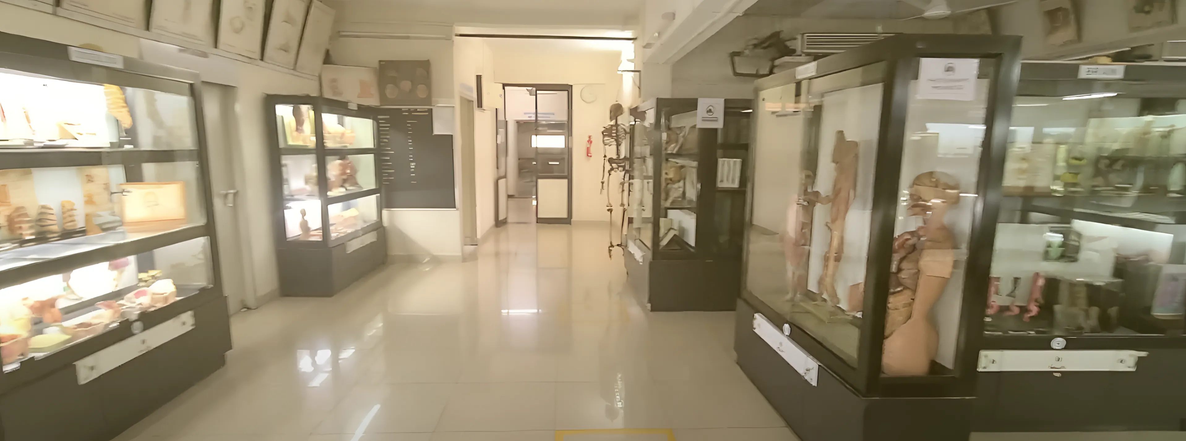 KMC Mangalore Anatomy Lab