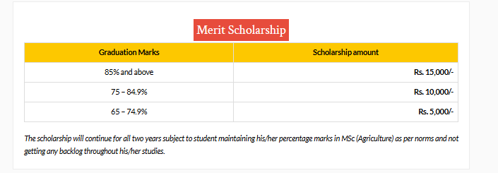 Scholarship-