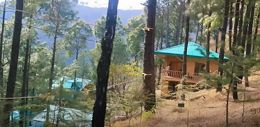 Shoolini University Guest House