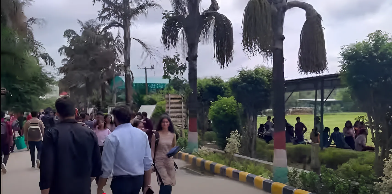 NIET Noida Outdoor Campus