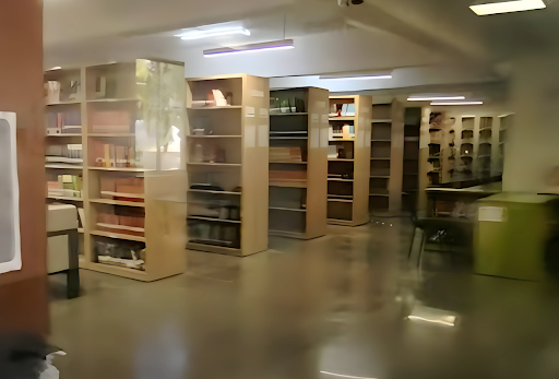 GSFC Library