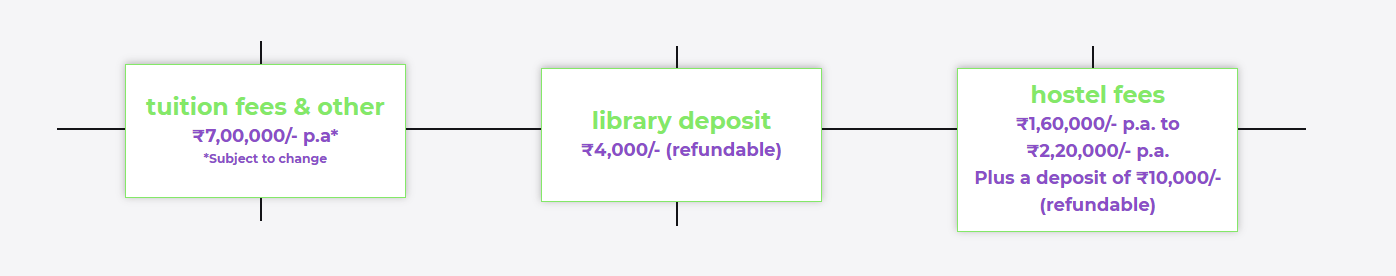 Fee Structure 2025 (As per website)-