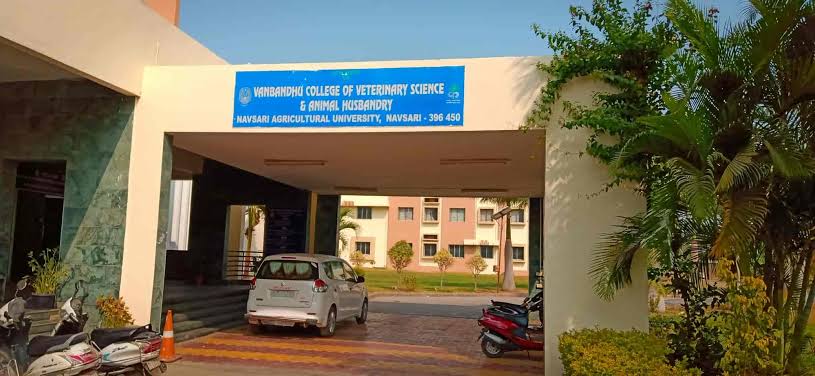 Kamdhenu University Gandhinagar Campus photo (2) by Narendra
