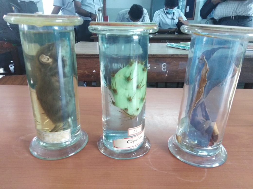 MGR Medical University Facilities & Labs photo (20) by Tharunsai M