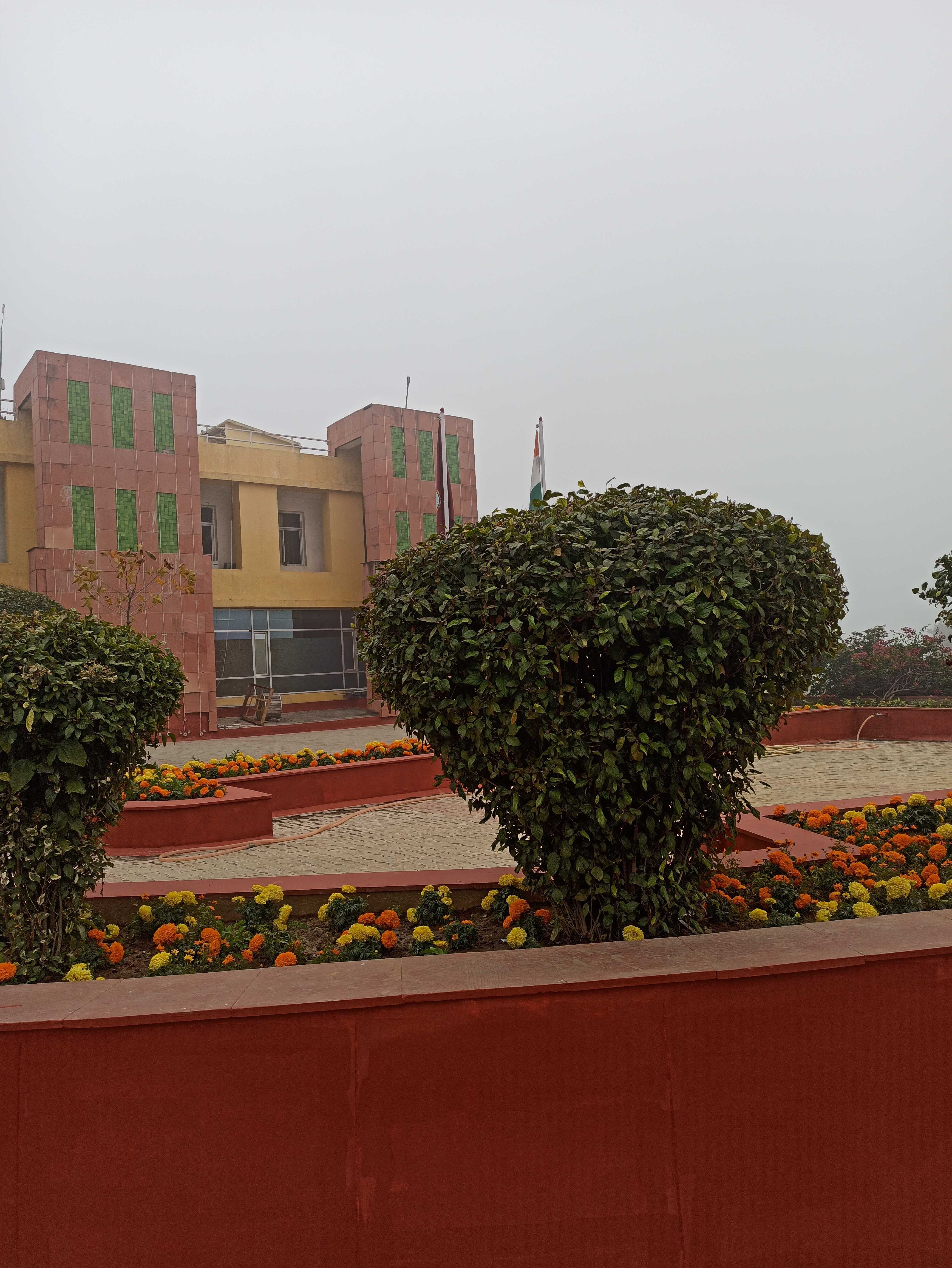CU Jammu Campus photo (13) by Uzma