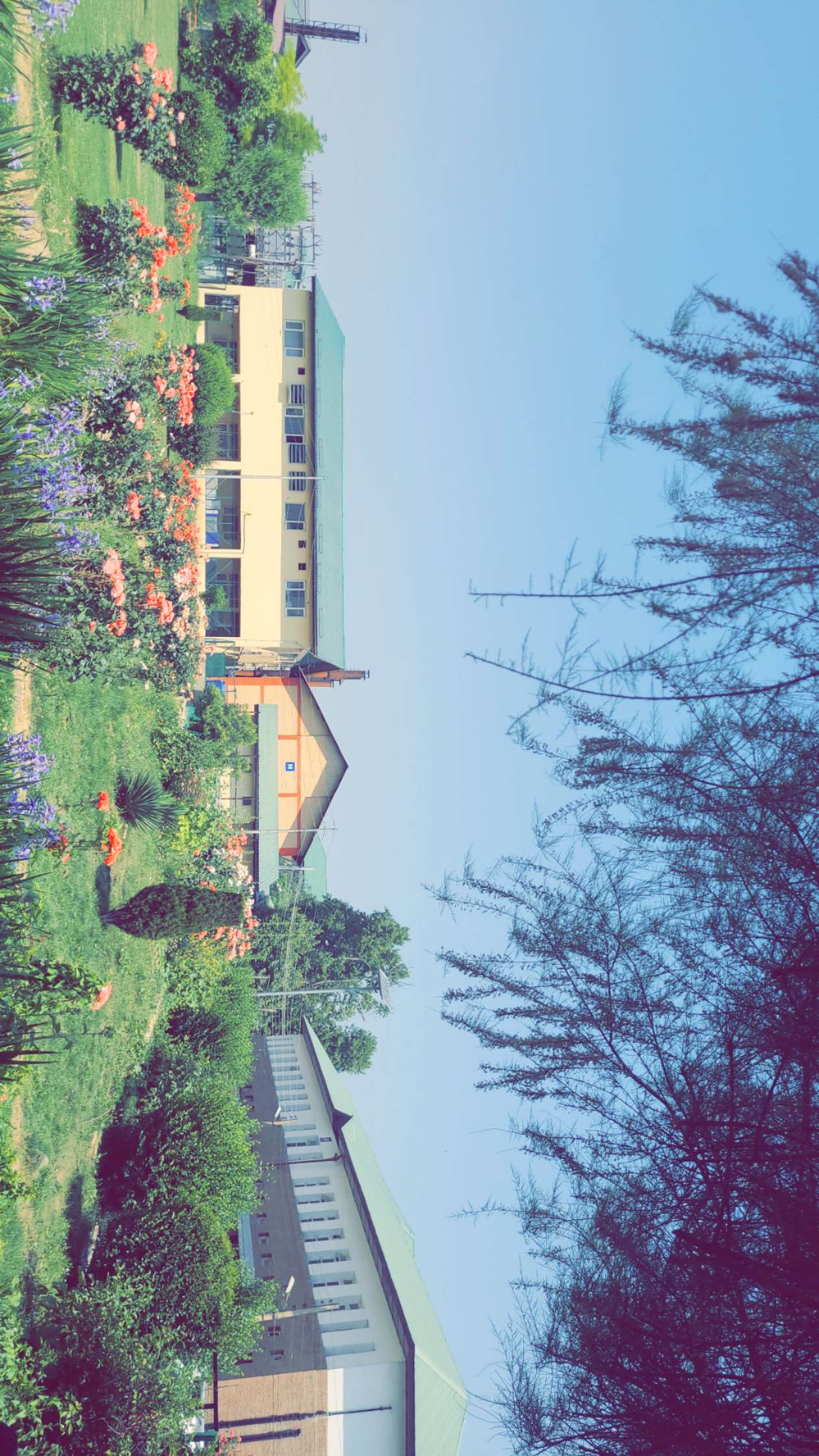GMC Srinagar Campus photo (6) by Saurav chaudhary