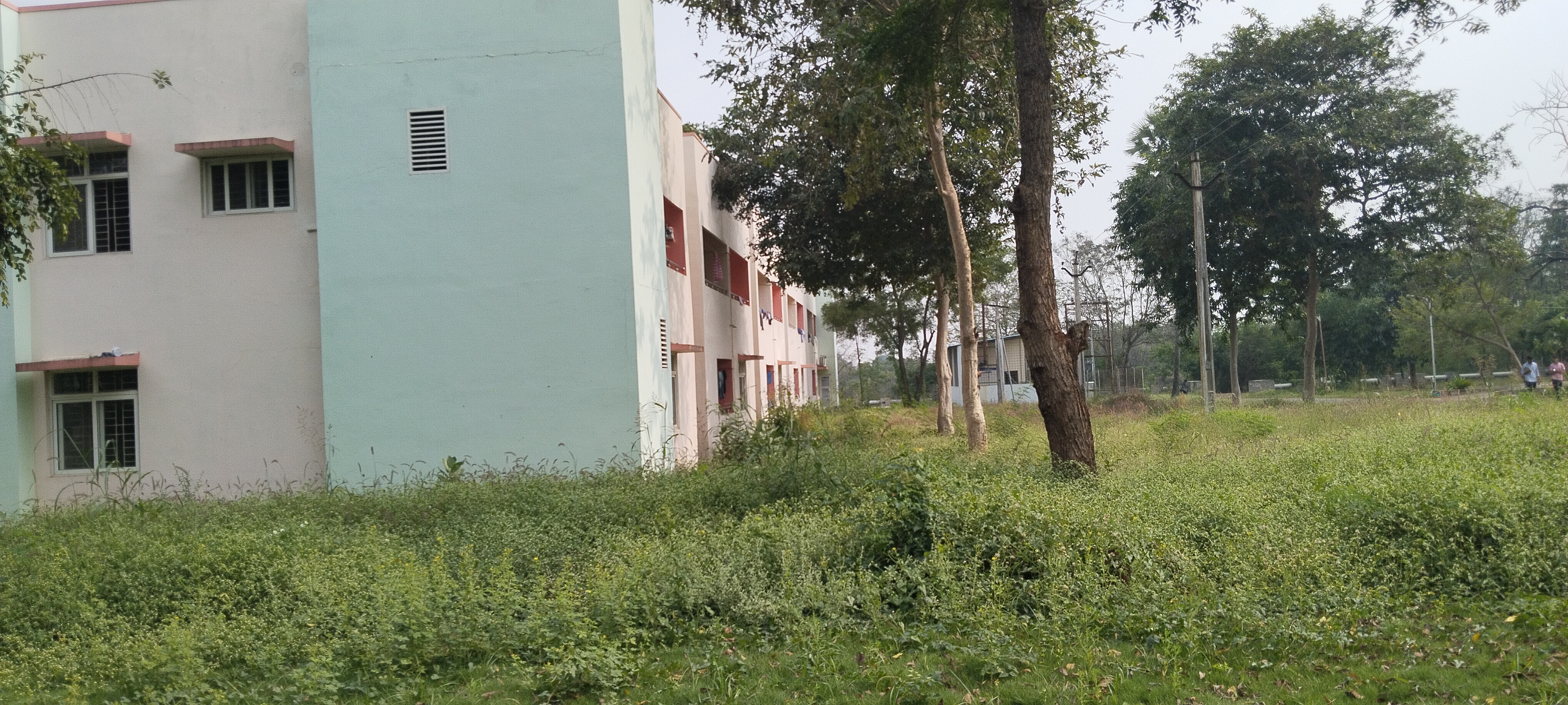 Acharya Nagarjuna University Guntur Campus photo (10) by Teppala Abhilash
