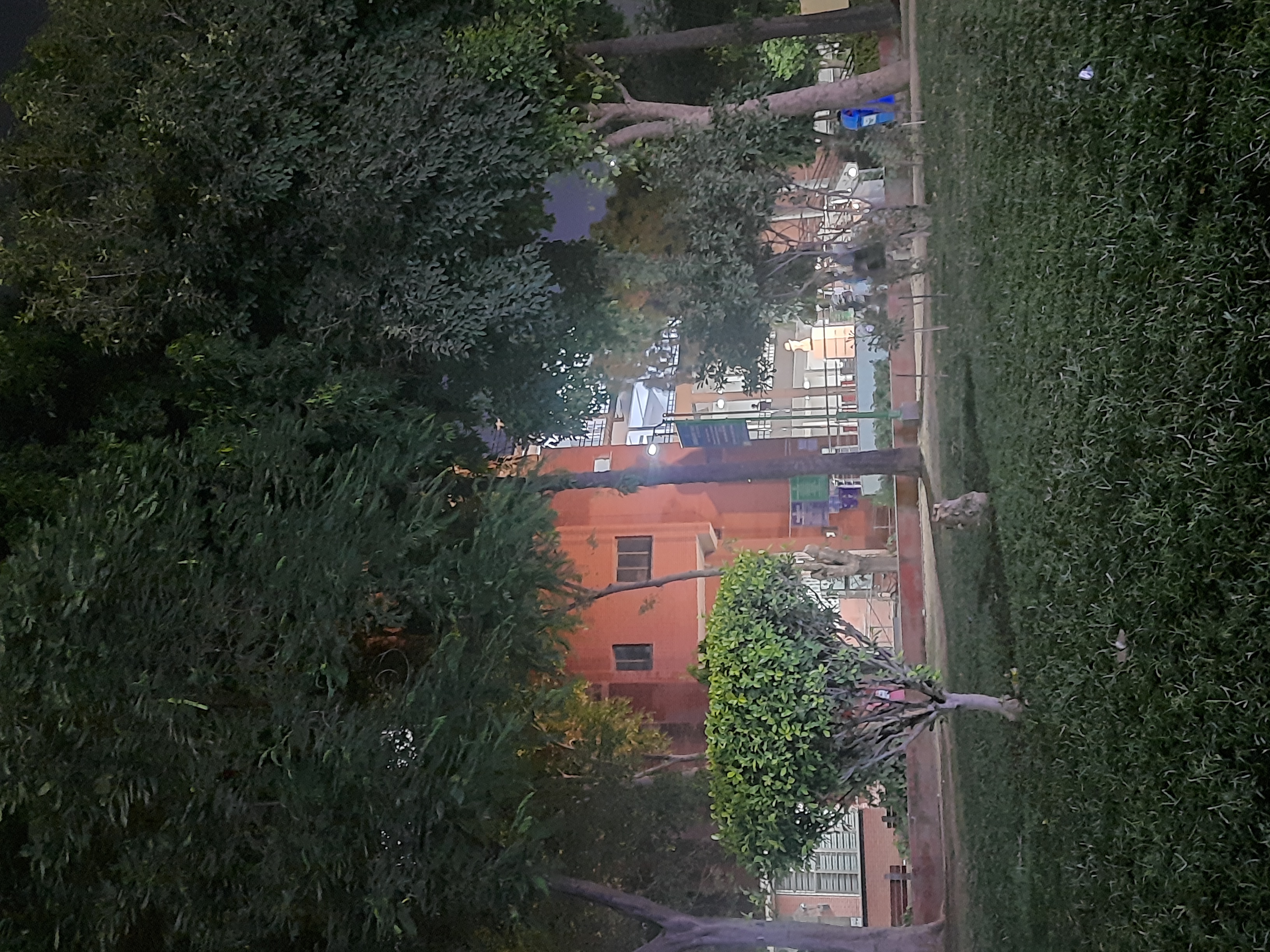 Shaheed Bhagat Singh Evening College Campus photo (5) by Tushar Prasad
