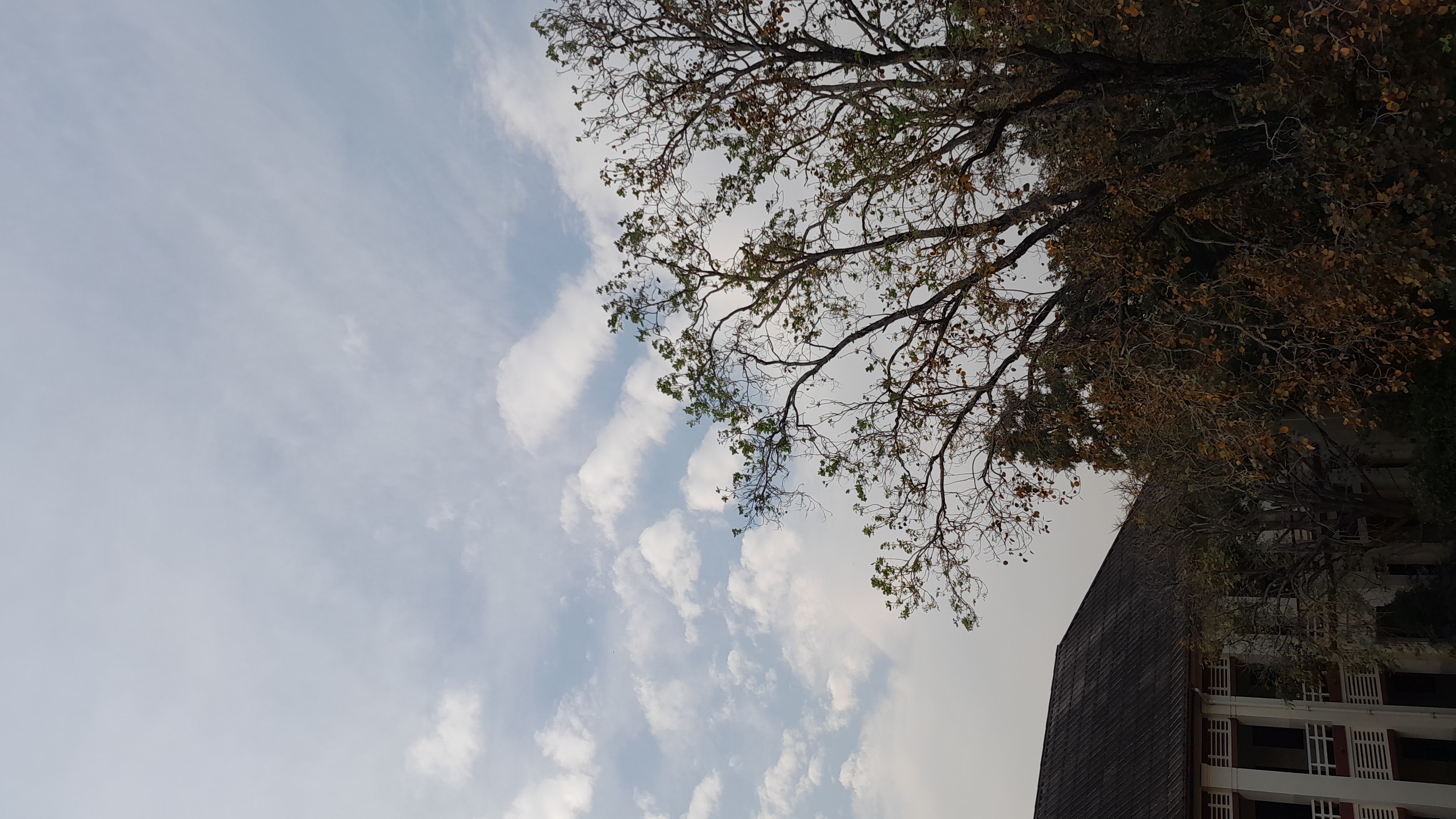 MCC Chennai Campus photo (10) by S S SREE SNEHA