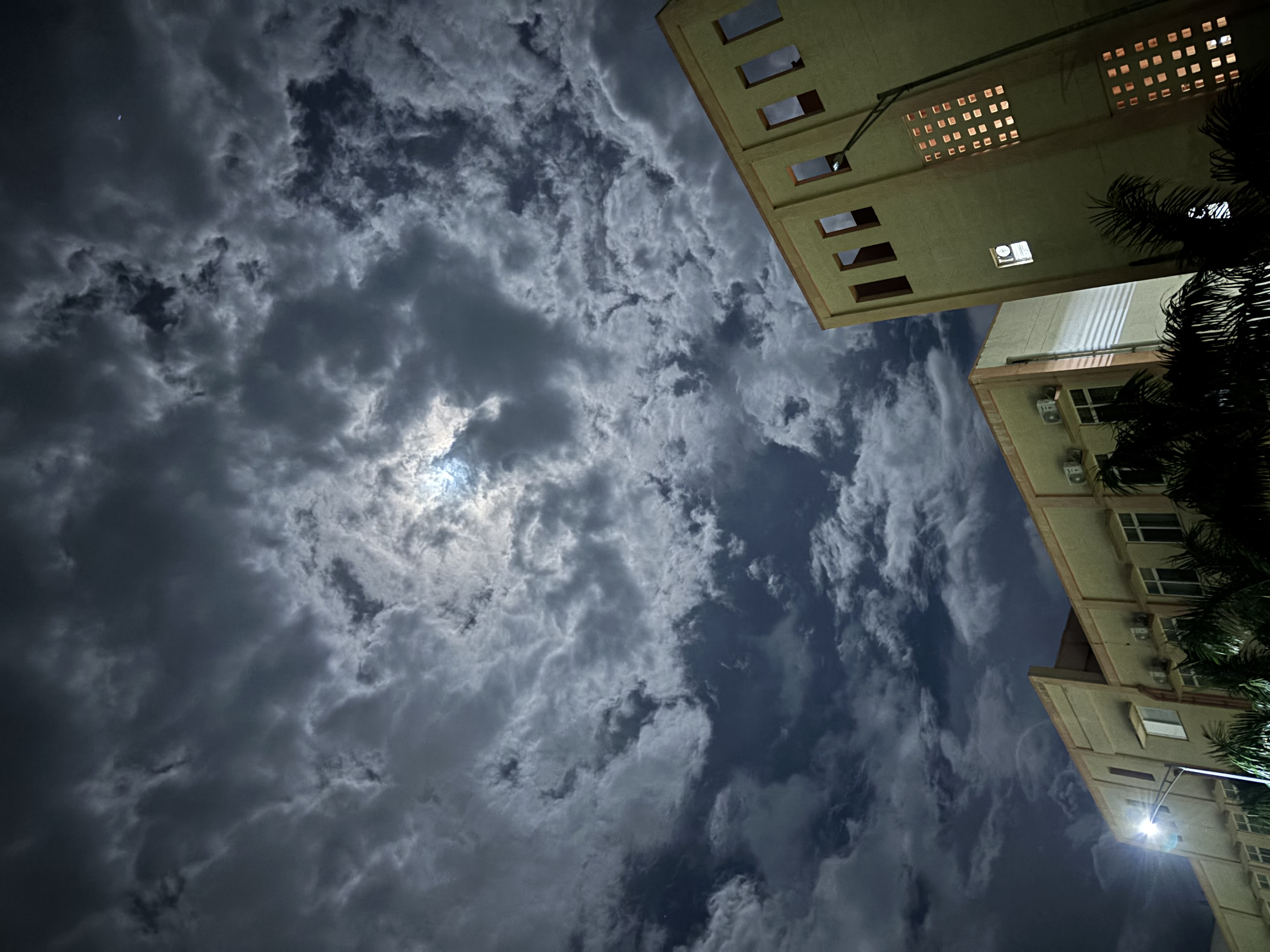 NIT Andhra Pradesh Campus photo (11) by Manoj Kumar