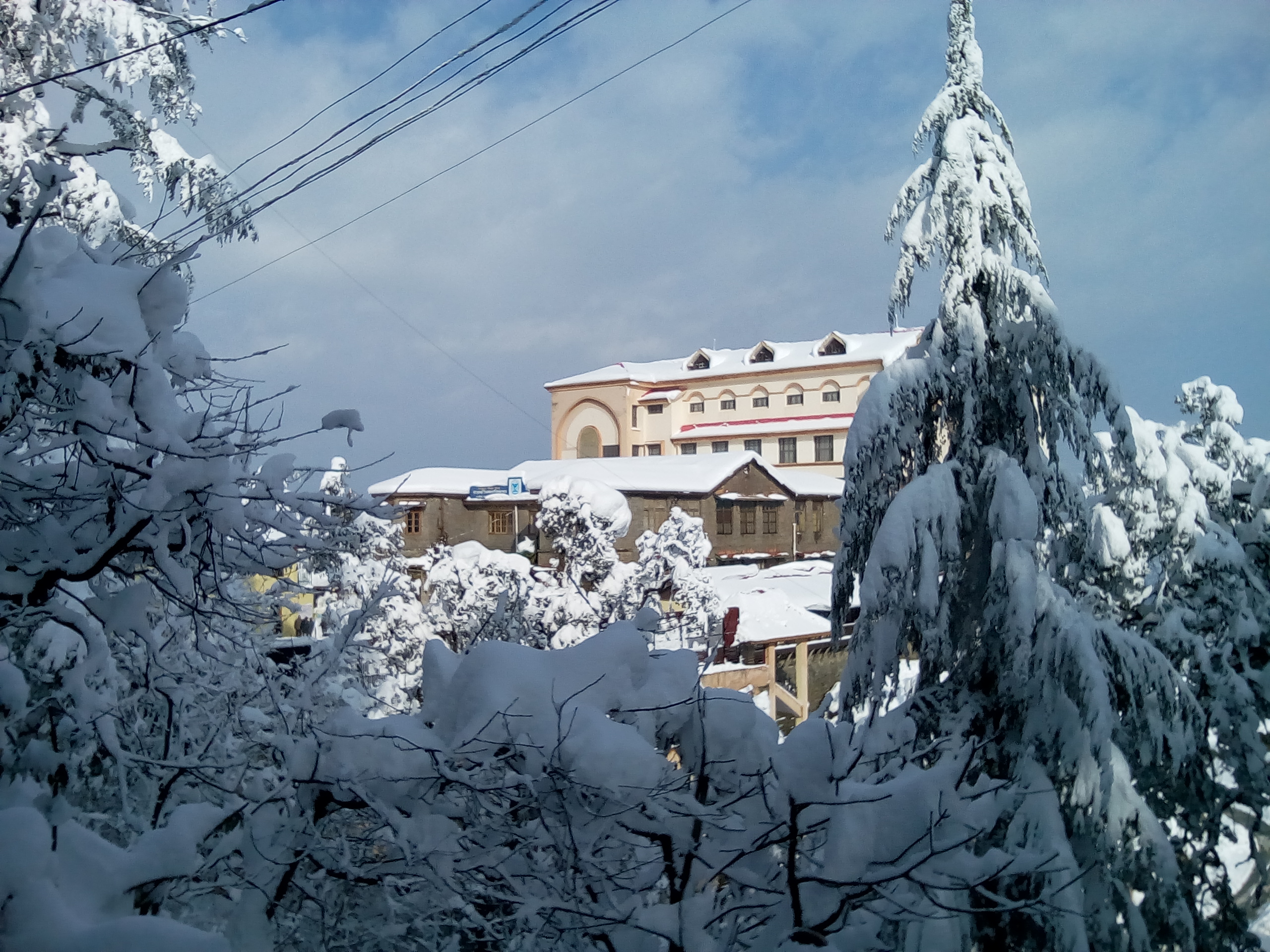 Government Degree college Shimla Campus photo (5) by Mehak Verma
