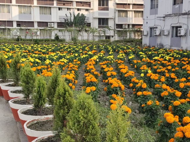 Swami Vivekananda University Kolkata Campus photo (5) by Anick saha