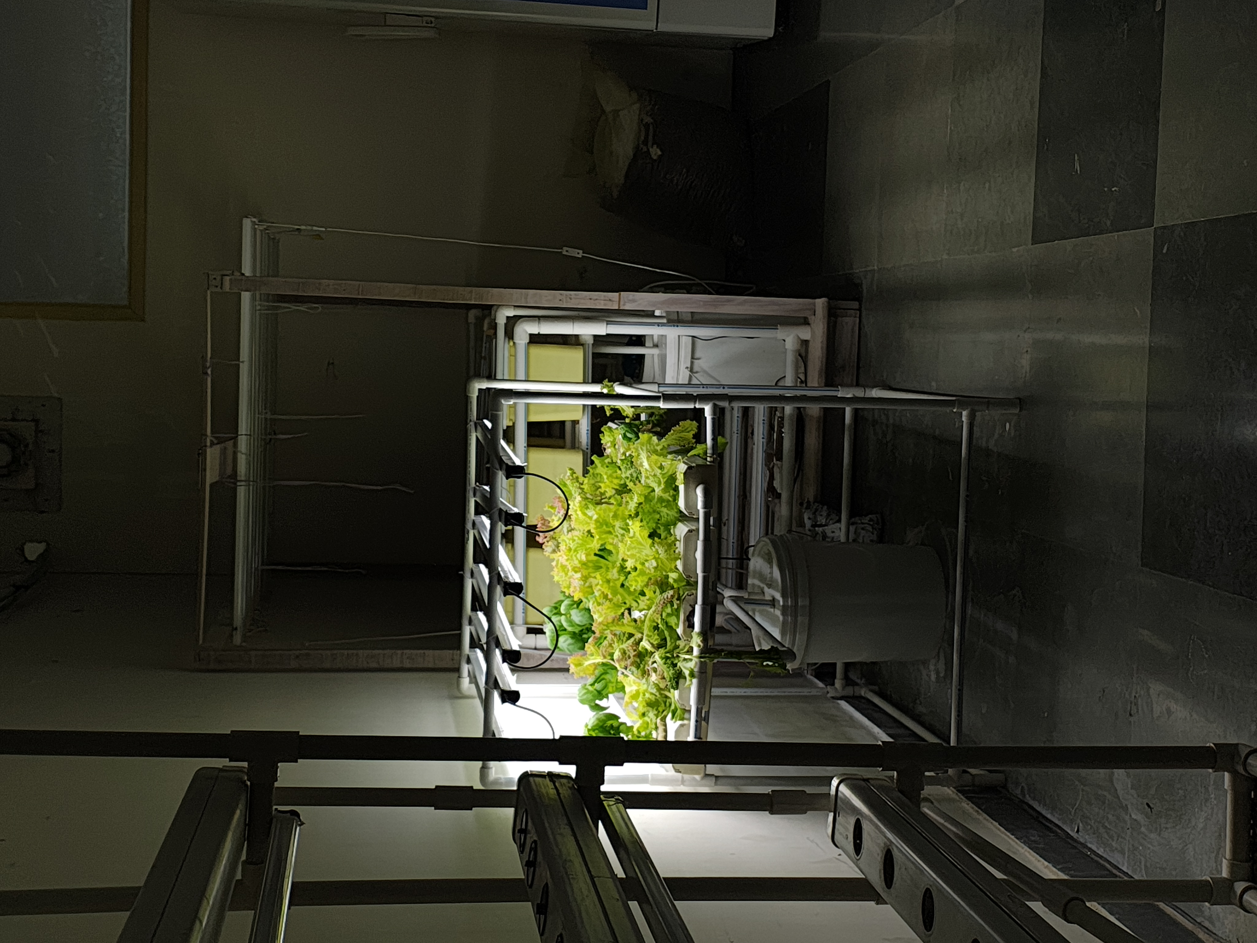 Amity University Kolkata Facilities & Labs photo (5) by Arya Dutta