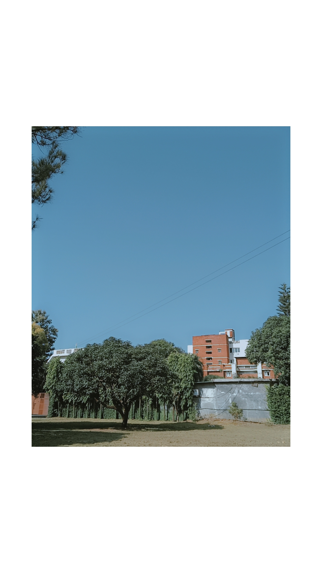 SBS University Campus photo (1) by Archana