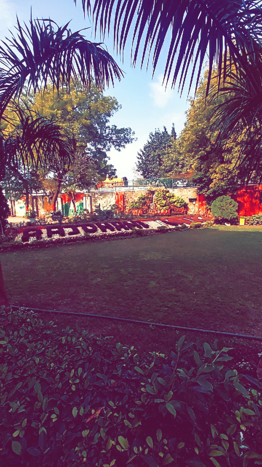 Rajdhani College Campus photo (10) by Ardit Chadha