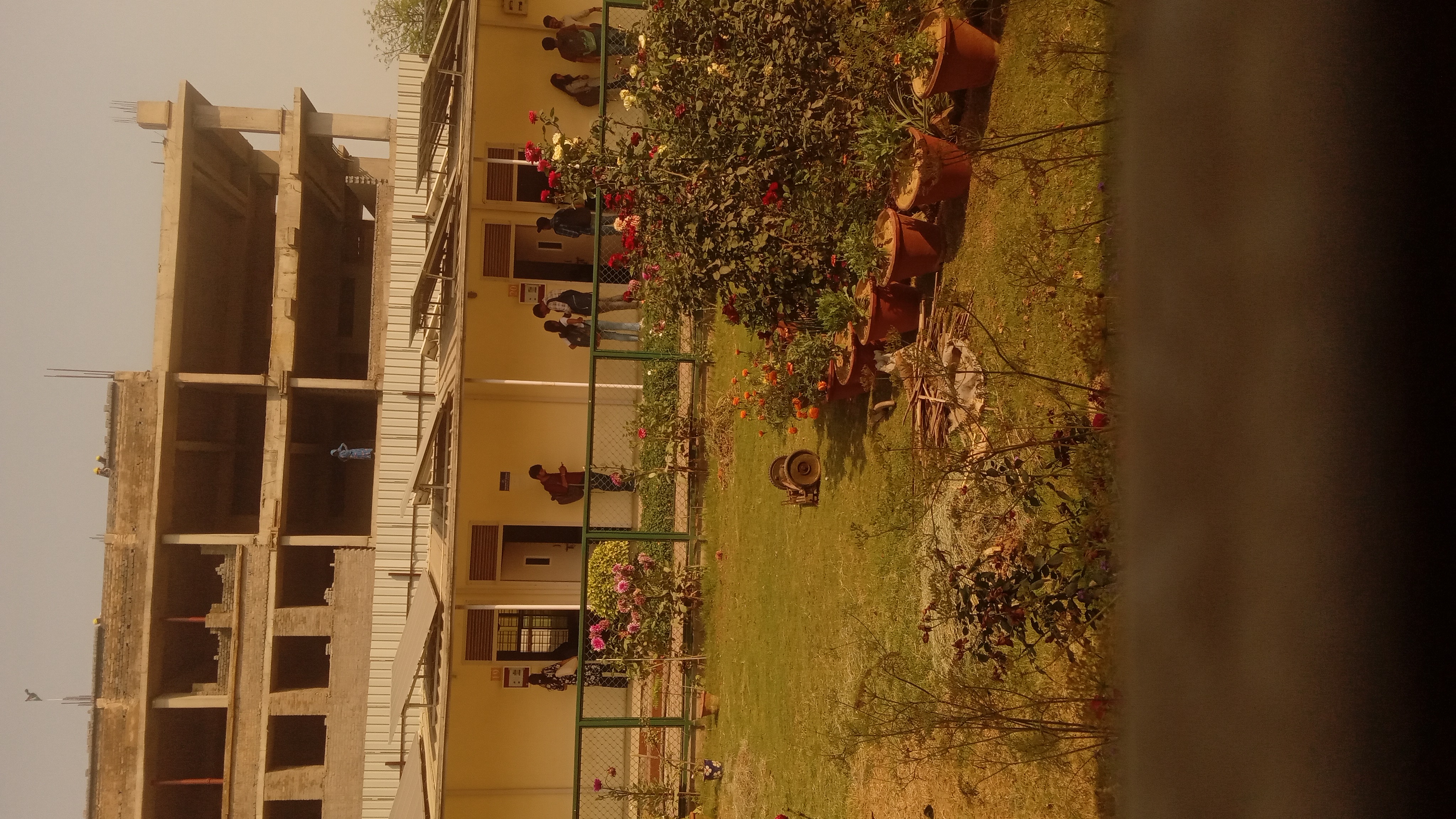 Ramanujan College Campus photo (7) by Anchal