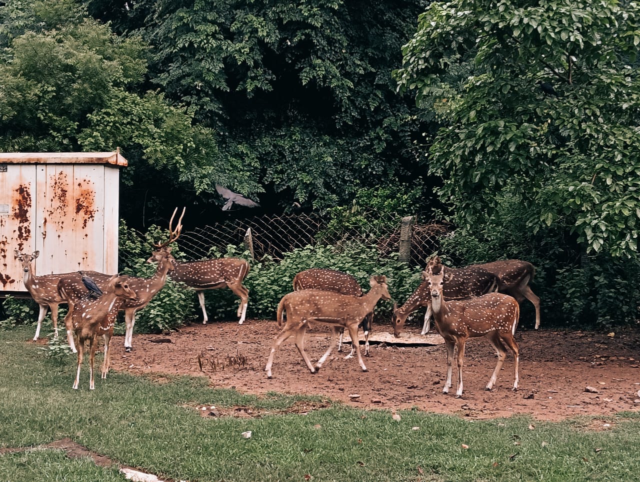 MCC Chennai Courses Fees 2025