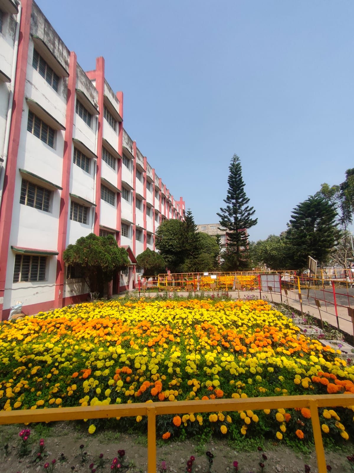 Kingston Educational Institute Kolkata Campus photo (2) by KUSHAGRA SHRIVASTAVA