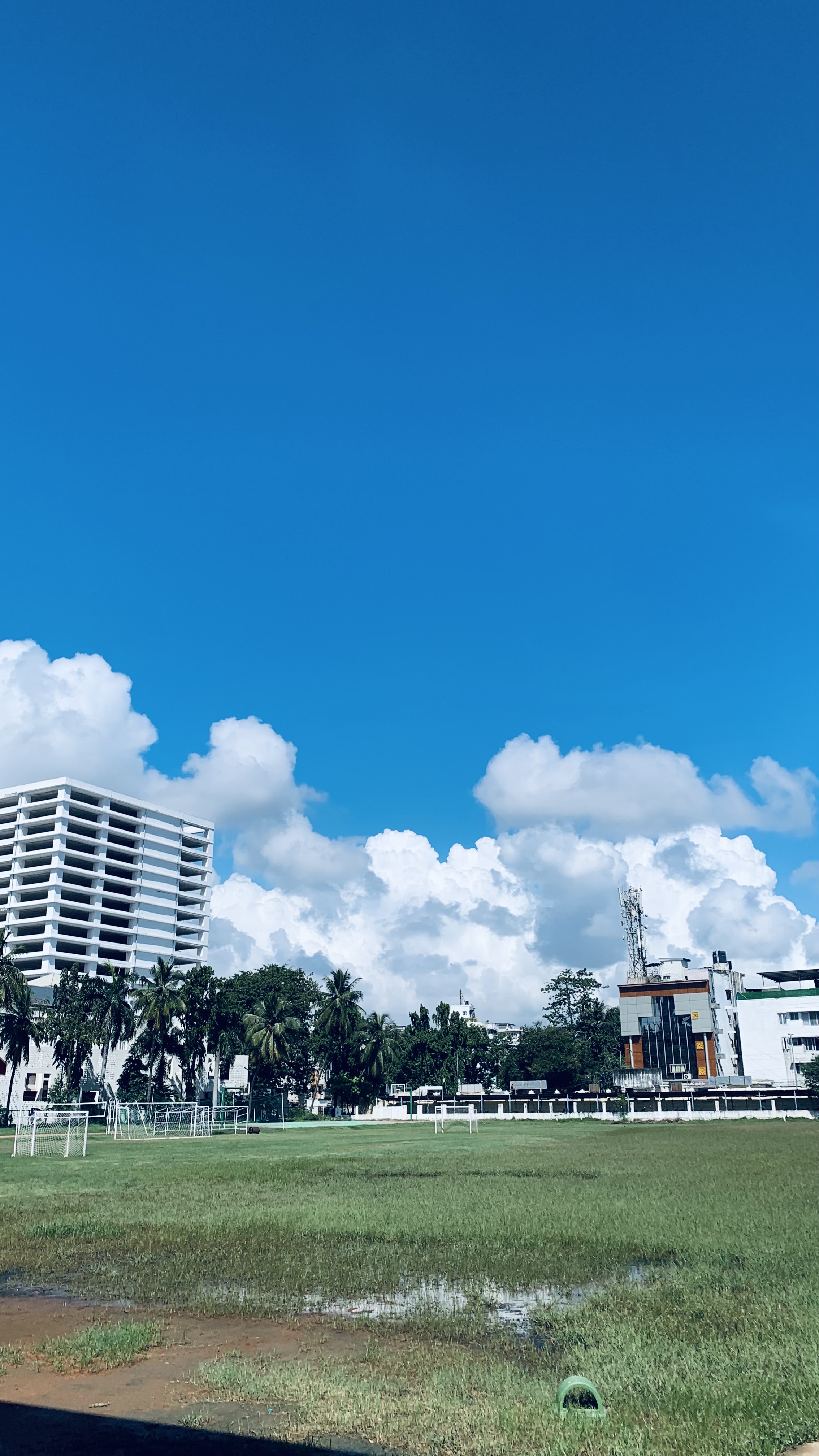 The New College Chennai Campus photo (1) by Shaik usman