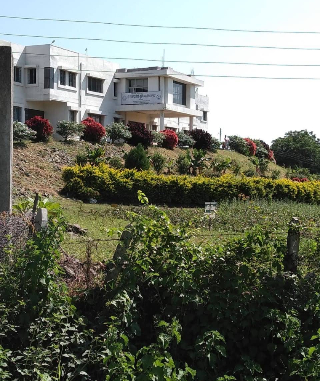 PDKV Campus photo (5) by Sanket Kaldate