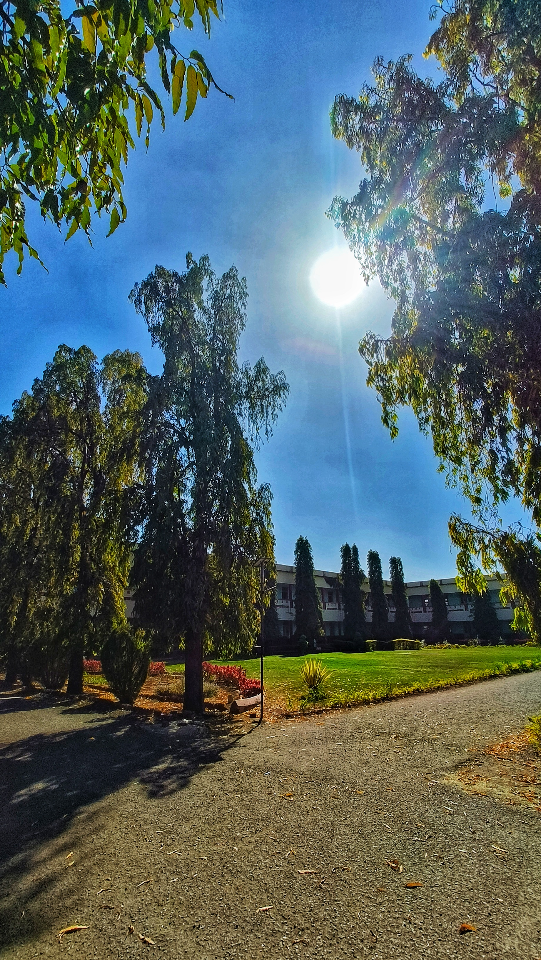 PDACEK Campus photo (4) by Sneha gada